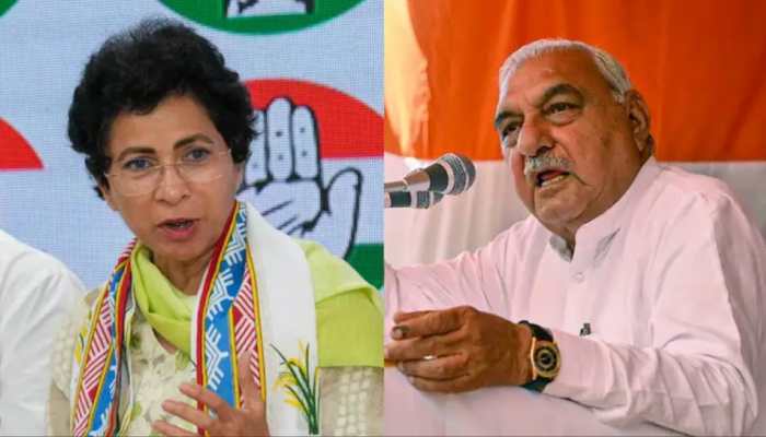 Haryana: Kumari Selja Opens Up About 'Surprise' Assembly Poll Results