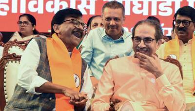 'No Big Brother in MVA...': Shiv Sena MP Raut Fires Warning Shot At Congress After Haryana Defeat