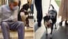 Late Ratan Tata’s Dog Goa Hadn't Eaten For Days, Was Seen At Master's Funeral