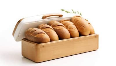 Great Festive Sale: Keep Your Bread Fresh With Amazing Bread Boxes