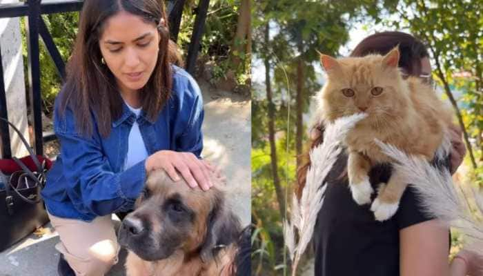 Mrunal Thakur Shares Adorable Video With Furry Friends, Asks To Take &#039;Nadaan Parindeys&#039; Home