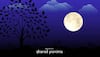 Sharad Purnima