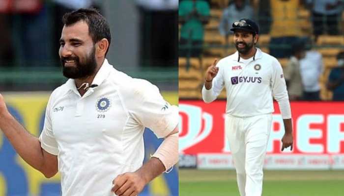 'India Won't Take Undercooked Shami To Australia' Says Rohit Sharma Ahead Of Border Gavaskar Trophy 'India Won't Take Undercooked Shami To Australia' Says Rohit Sharma Ahead Of Border Gavaskar Trophy