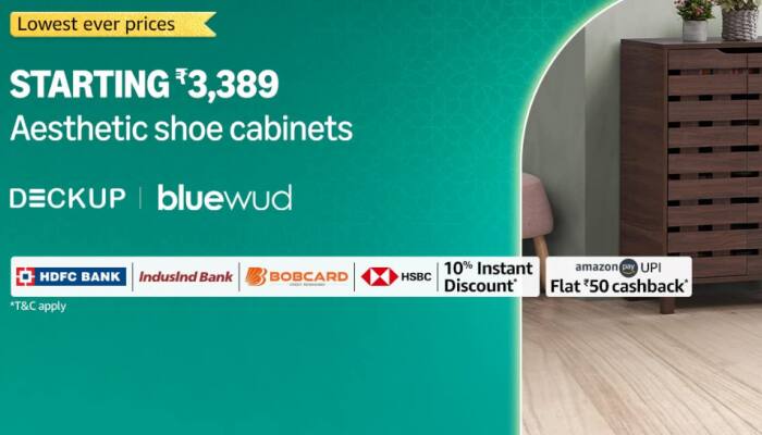 Top Aesthetic Shoe Cabinets On Amazon Dussehra Special  