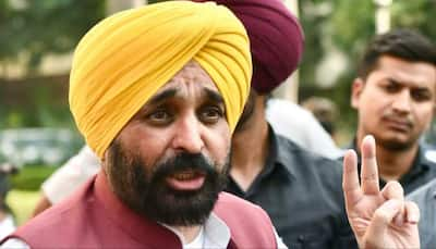 'If PM Modi Can Stop Ukraine War...': Bhagwant Mann Seeks Centre's Intervention Over Stubble Burning Issue