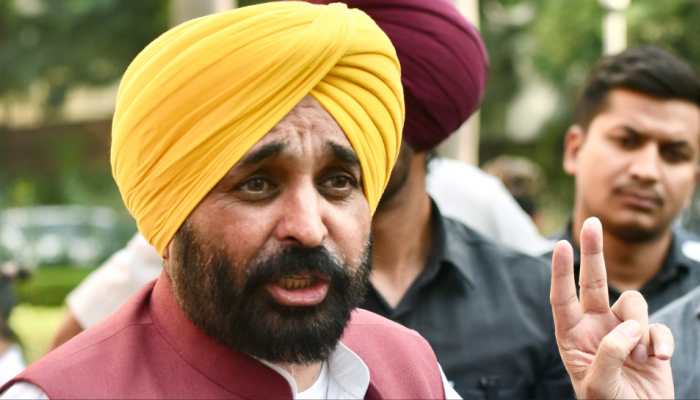 'If PM Modi Can Stop Ukraine War...': Bhagwant Mann Seeks Centre's Intervention Over Stubble Burning Issue 'If PM Modi Can Stop Ukraine War...': Bhagwant Mann Seeks Centre's Intervention Over Stubble Burning Issue