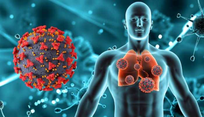 Study Reveals How Covid-19 Defeats Human Body’s Immune Response System Study Reveals How Covid-19 Defeats Human Body’s Immune Response System