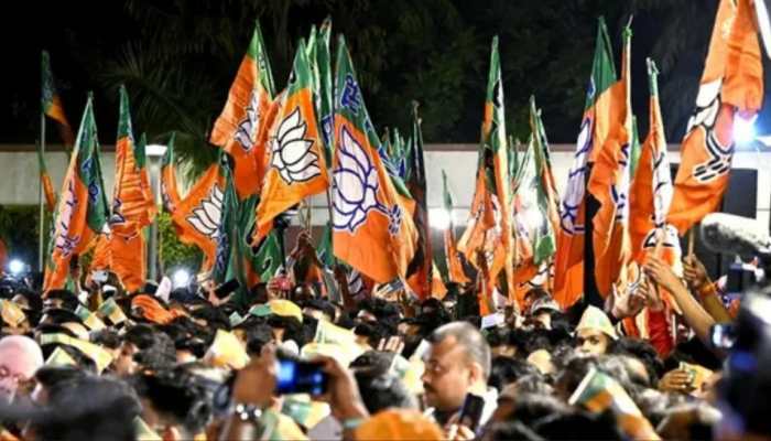 UP Bypolls: BJP Releases List For Elections, Fields Anujesh Yadav From Karhal Against SP’s Tej Pratap