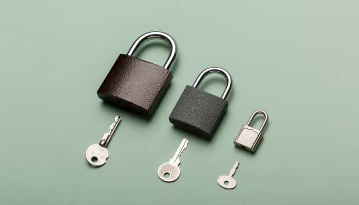 Great Festive Sale: Offers On Different Types Of Locks