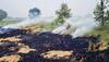 Stubble Burning Incidents Resurface In Punjab, Haryana Despite SC's Interference