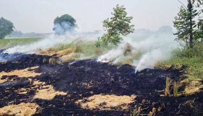 Stubble Burning Incidents Resurface In Punjab, Haryana Despite SC's Interference
