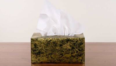 Great Festive Sale: Deals On Tissue Holders