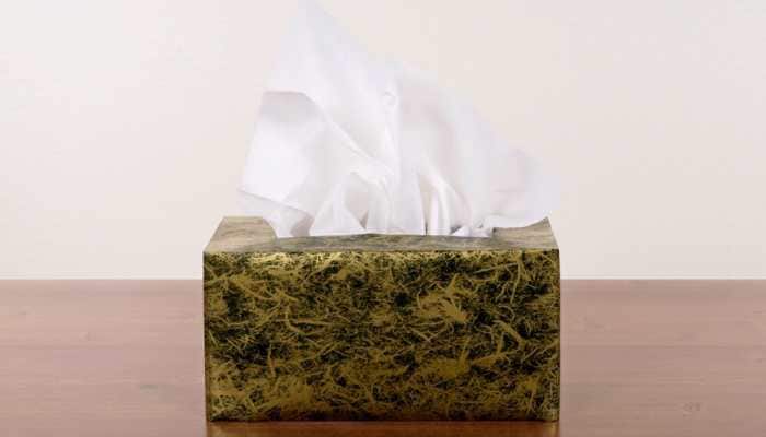 Great Festive Sale: Deals On Tissue Holders