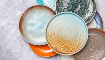 Great Festive Sale: Offers On Dinner Plates