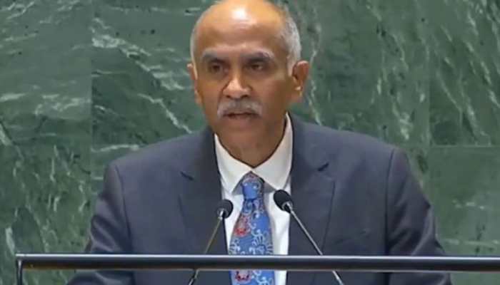  'Ready To  Do More For Palestinian People': India At UN On Middle East Situation