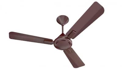 Elegant Designs, Superior Air Flow: Premium Ceiling Fans