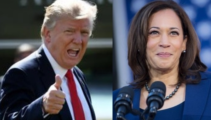 Shift In Allegiances: Trump’s Unexpected Appeal And Harris’s Dwindling Prospects Shift In Allegiances: Trump’s Unexpected Appeal And Harris’s Dwindling Prospects