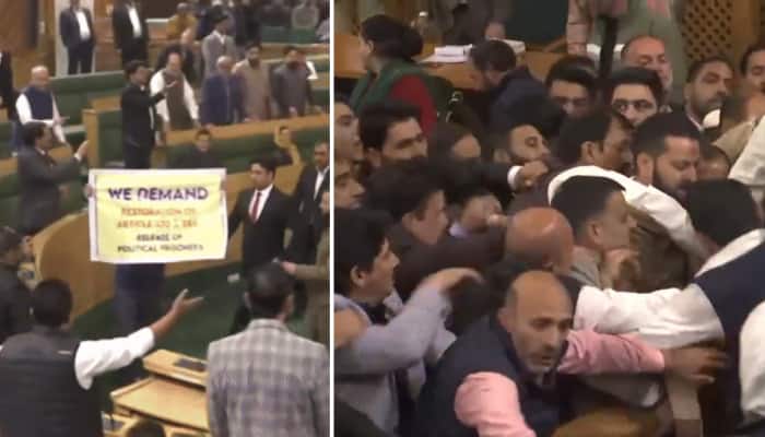 Brawl In J&K Assembly As Special Status Resolution Sparks Violent Protest 
