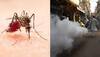 Mosquito-borne diseases