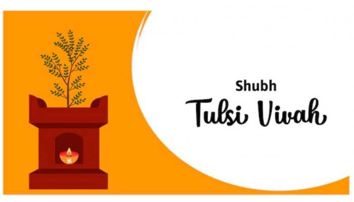 Tulsi Vivah 2024: Date, Time, Significance, And Importance