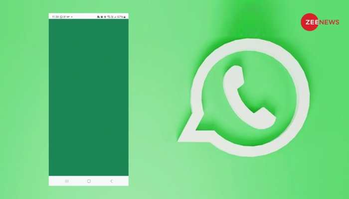 WhatsApp Bug For Beta Users: Are You Struggling With Green Screen Issue? Here’s How to Fix It 