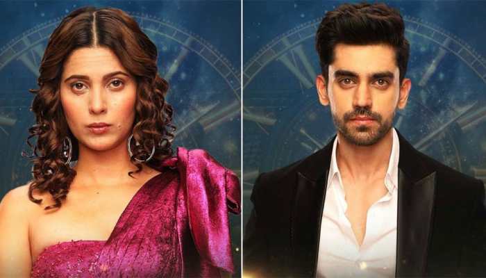 Bigg Boss 18: Avinash Mishra And Alice Kaushik Get Intimate, Video Goes Viral
