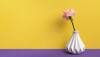 Adding a Touch of Nature: The Beauty of Vases