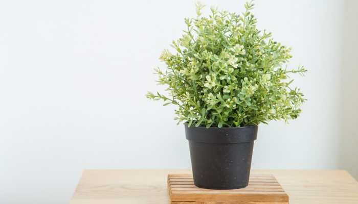 Bringing Green Indoors: Stylish Artificial Planters for Every Home