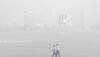 Delhi Air Pollution: National Capital Engulfed In Smog, AQI Drops Down To 'Severe'