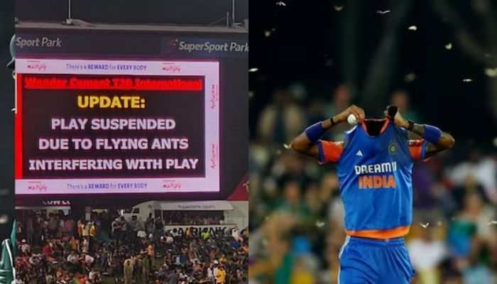 Flying Ants Stop Play: IND vs SA 3rd T20I Suspended For 30 Minutes, Viral Video Shows Bizarre Invasion - Watch Flying Ants Stop Play: IND vs SA 3rd T20I Suspended For 30 Minutes, Viral Video Shows Bizarre Invasion - Watch