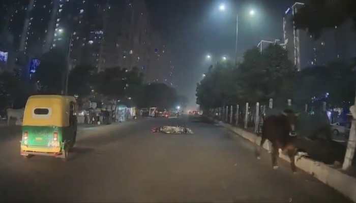 Man Tossed In Air After Crashing His Bike Into Bull In Greater Noida - Watch Viral Video Man Tossed In Air After Crashing His Bike Into Bull In Greater Noida - Watch Viral Video