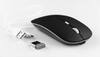 Best Wireless Mouse for Work and Play