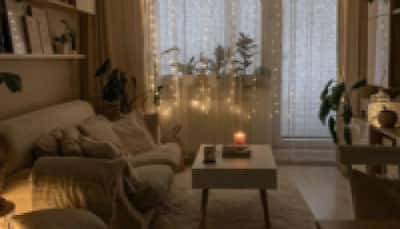 Budget-Friendly Home Decor items on amazon