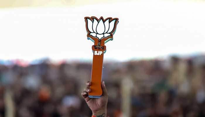 EC Directs J'khand BJP To Remove 'Objectionable' Posts From Social ...