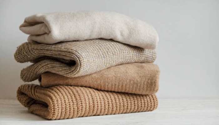 ⁠Cozy Chic: Premium Women's Sweater