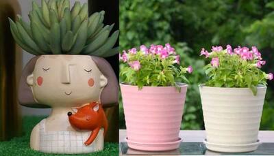 Lovely Planter for Blooming Beauty