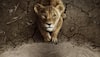 Meet The Voice Behind Mufasa: Artists Revealed For Hindi, Tamil And Telugu Dubbed Versions