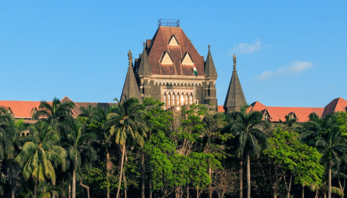 ‘Illegal Approach To Fulfill Parenthood...’: Bombay HC Grants Bail To Lesbian Couple In Kidnapping Case ‘Illegal Approach To Fulfill Parenthood...’: Bombay HC Grants Bail To Lesbian Couple In Kidnapping Case