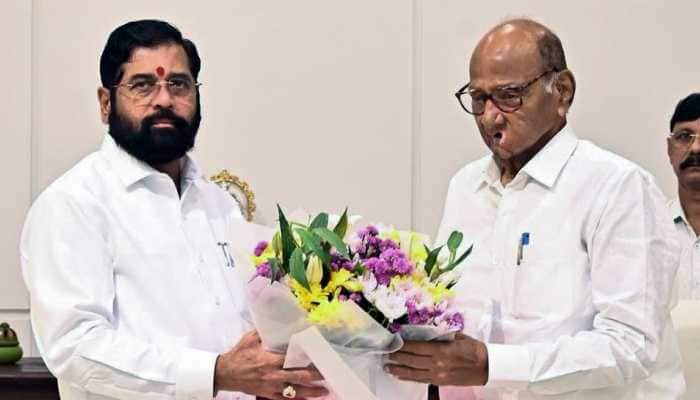 Will Eknath Shinde Join Sharad Pawar For Maharashtra CM Post? Shiv Sena MLA's BIG Statement