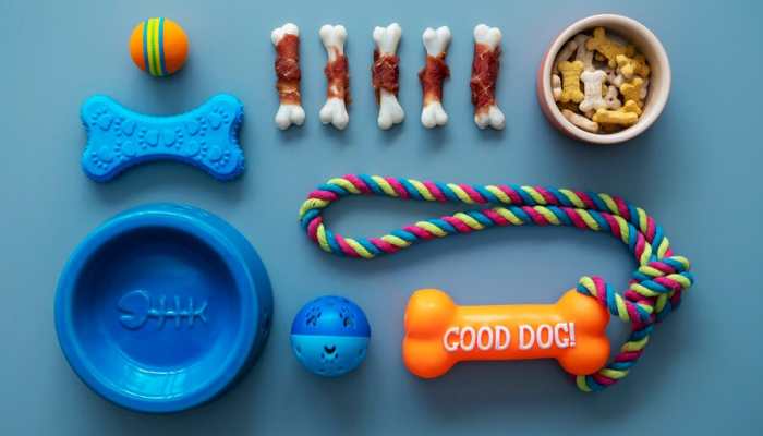 The Ultimate Guide to Dog Chew Toys The Ultimate Guide to Dog Chew Toys