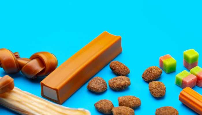 Keep Your Dog's Smile Bright: A Guide to Dental Dog Treats