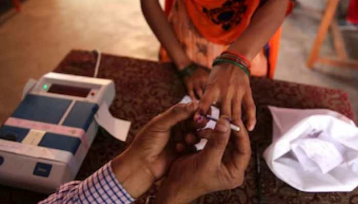 Palakkad Assembly Election Result 2024: BJP Leads From Kerala Seat