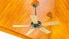 Stay Cool, Save More: Black Friday Fan Sale