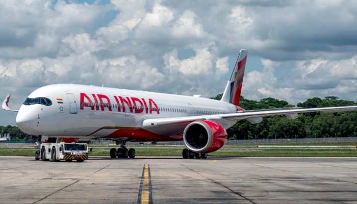 Airlines Got Nearly 1,000 Hoax Bomb Threats, 256 FIRs Filed Till Nov: Govt
