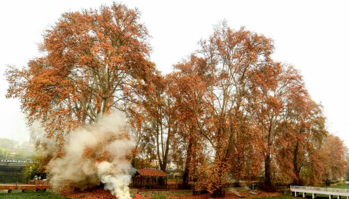 Displaced Kashmiri Pandits Register Housing Society In New Push For Resettlement In Valley
