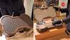 Indian-Origin CEO Buys Louis Vuitton Suitcase For Dog Worth Rs 14 Lakh; Netizens Not Taking It Warmly