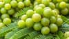 8 Amazing Health Benefits Of Amla: Why You Should Add This Superfood To Your Diet