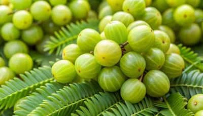 8 Amazing Health Benefits Of Amla: Why You Should Add This Superfood To Your Diet
