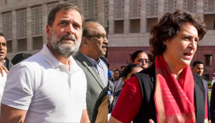 Rahul, Priyanka Join In As INDIA Bloc Leaders Continue Protest Over Adani Issue, JPC Probe Demand — WATCH