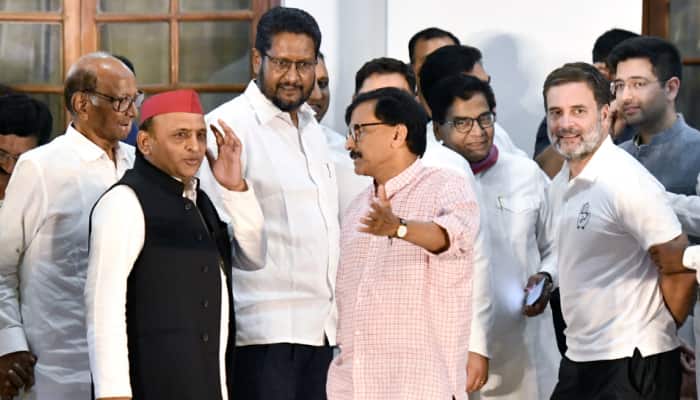SP Exits MVA Over Shiv Sena UBT Leader's Praise For Babri Mosque Demolition